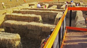 Pack Farms Hay Maze